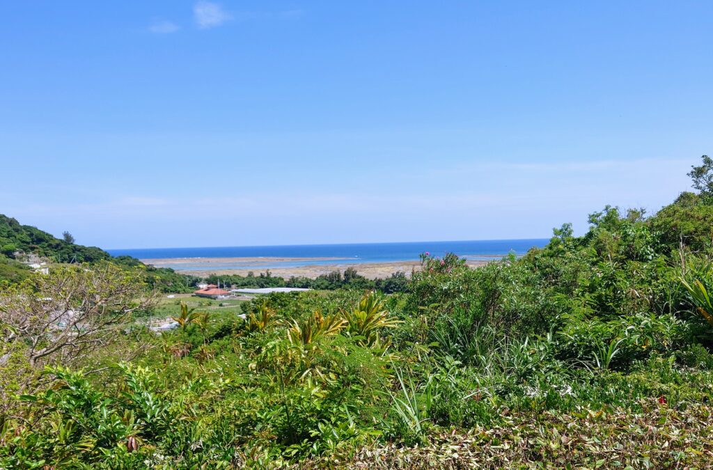 沖縄そば峰の外観